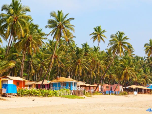 How to Choose the Perfect Planner